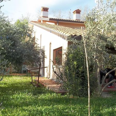 Villa Ambrosia Múggia Екстериор снимка