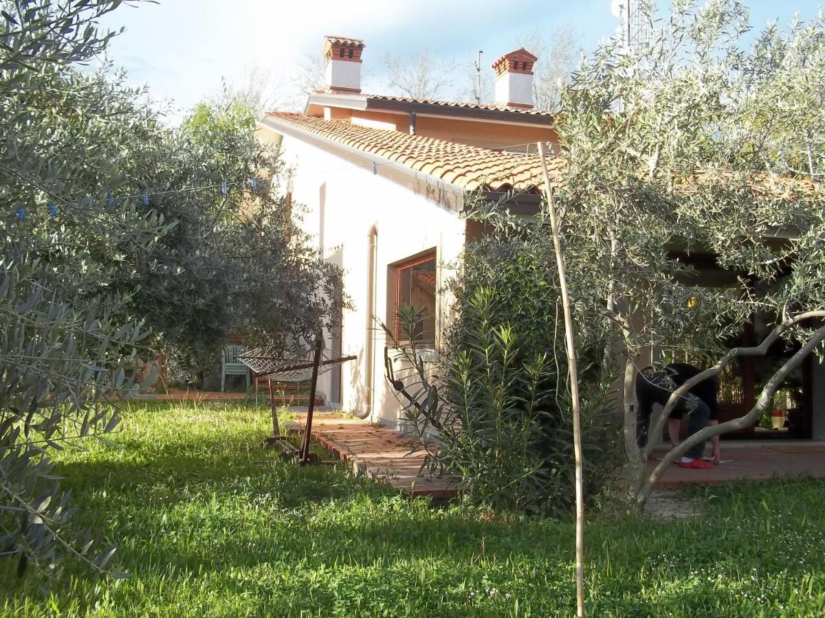 Villa Ambrosia Múggia Екстериор снимка