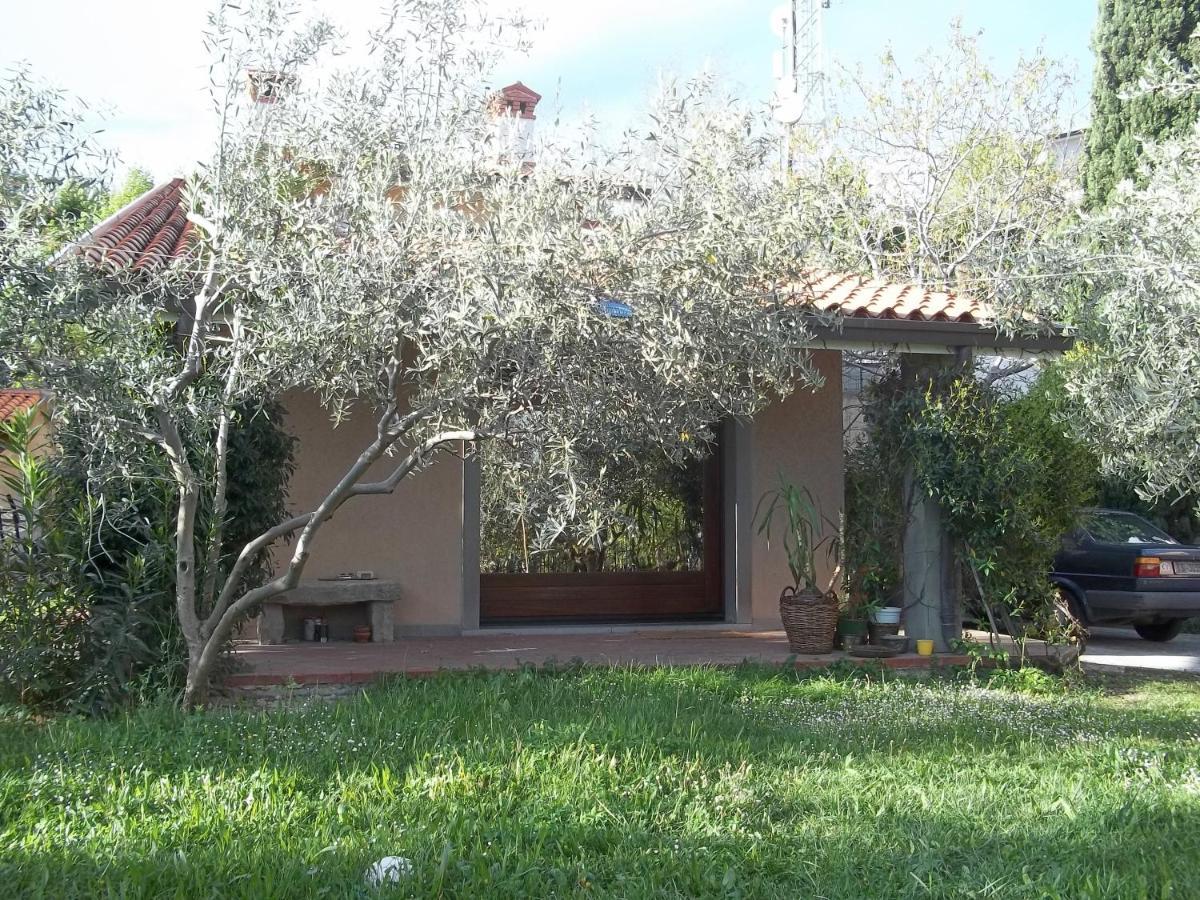 Villa Ambrosia Múggia Екстериор снимка
