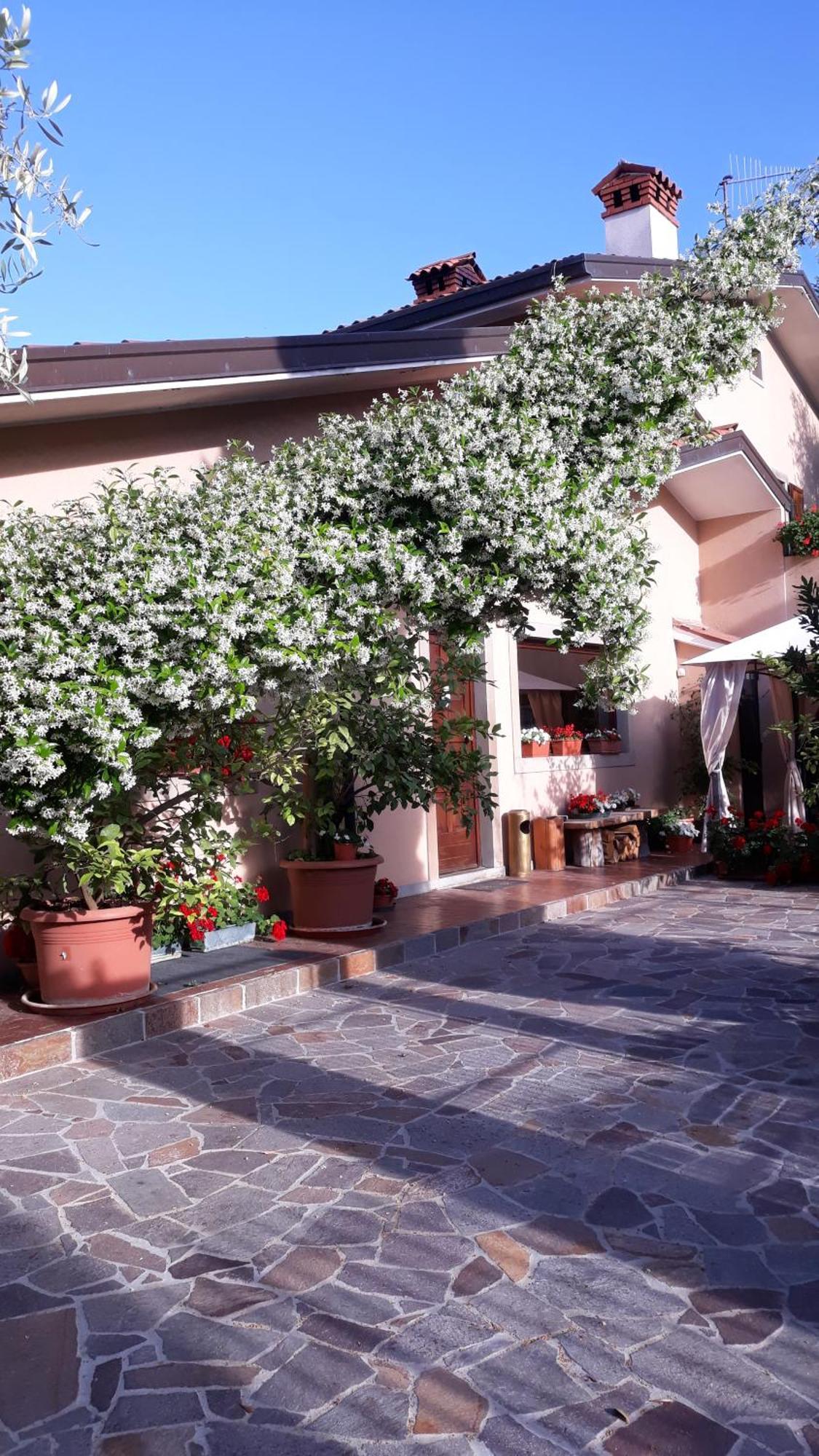 Villa Ambrosia Múggia Екстериор снимка